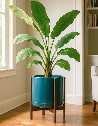 Ceramic Pot with Walnut Wood Stand (14 Inch / Teal Pot + Walnut Color Stand)