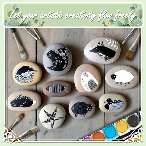 20LB Stones Pebbles River Rocks (20 Pounds / Black)