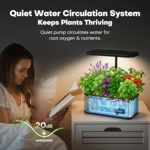 Hydroponics Growing System (Black / Modern)