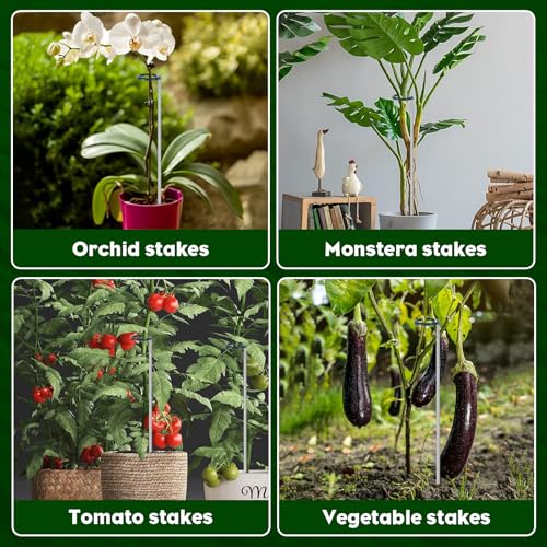 Extendable Monstera Plant Support Stakes (32.2inches-7Pack)
