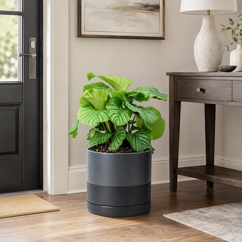 10 Inch Ceramic Planter Pot (Large / Slate)