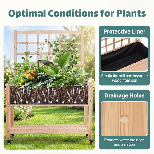 65'' Wooden Raised Garden Bed with Trellis & Legs (47” x 23” x 65”)
