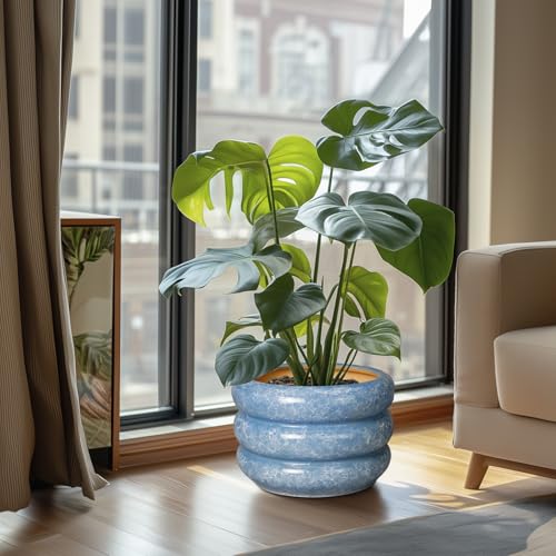 10 Inch Planter Pot