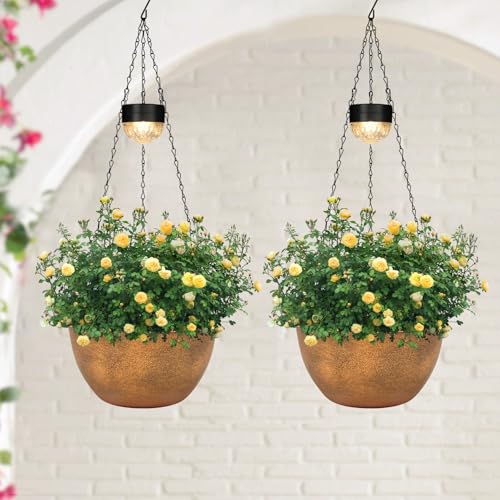 2 Pack Solar Hanging Planters for Plants Outdoor (2 Count)
