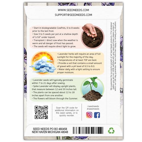 Spike Lavender Seeds to Plant Heirloom & Non (2 Packs)