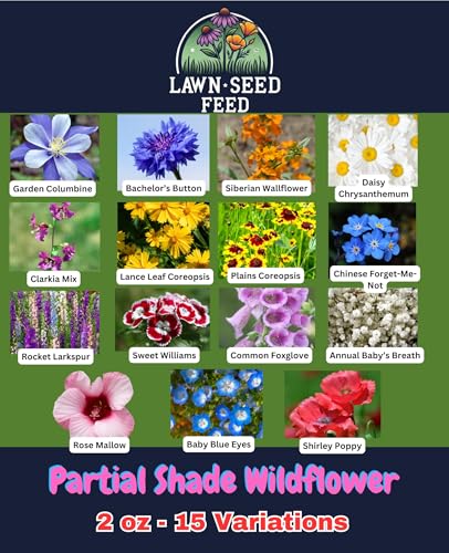 Partial Shade Wildflower Mix Seed (2 oz)