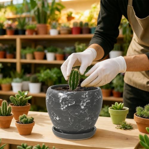 6 Inch Plant Pots (Gemstone Gray / 6 Inch)