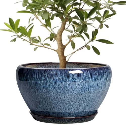 Ceramic Plant Pots 13 Inch (13 Inch / Blue)
