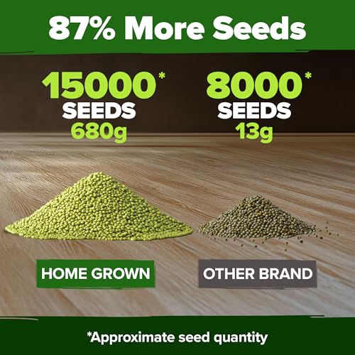 Mung Bean 15 000+ Sprouting Seeds 1.5 lb Vigna Radiata