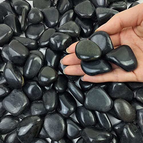 5 lbs Black River Rocks (5 Count (1 bag))