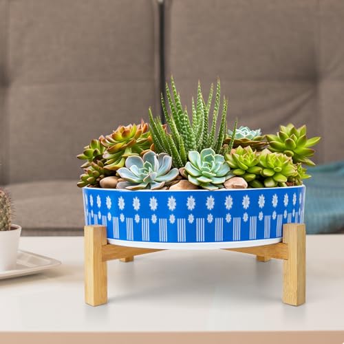 Succulent Pots (Floral 1)