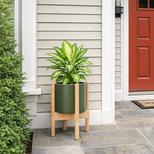 Plastic Pot with Natural Wood Stand (Olive Pot + Natural Stand / 8 Inch)