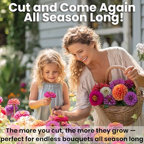 Zinnia Seeds for 2026 Planting Outdoors