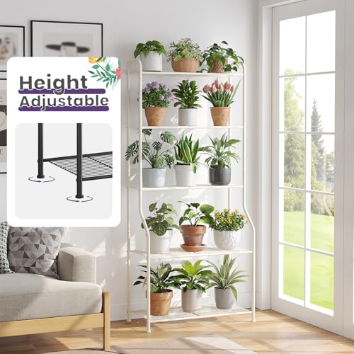 5 Tier Corner Plant Stand (Cream / 5 Tier)
