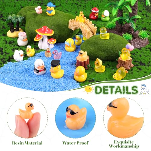 40PCS Mini Resin Ducks Little Ducks (Various Ducks-40pcs)