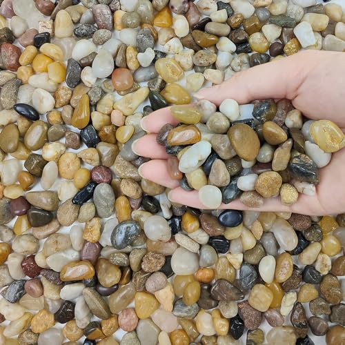 Pea Gravel for Fish Tank