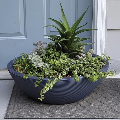 Delano Bowl Planter