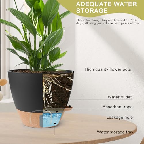 Self Watering Pots for Indoor Plants 12 (Black)