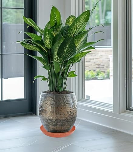 4 Pack of 14 inch Plant Saucer Plant Tray (14" (4 pack) / Terracotta)