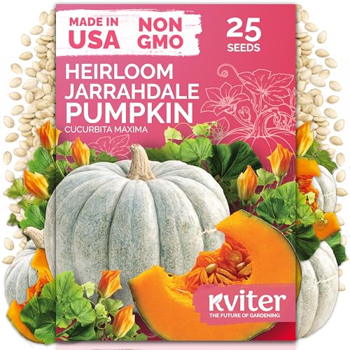 25 Jarrahdale Pumpkin Heirloom Vegetable Seeds