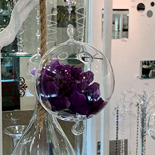 WGV Hanging Terrarium Globe (5" Double Hook)