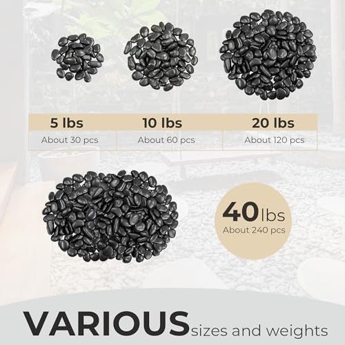10lbs Black River Rocks
