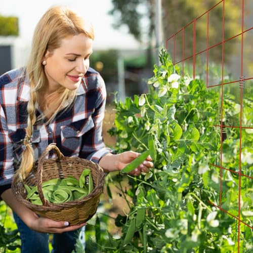 39" Cucumber Trellis (39" H / Red)