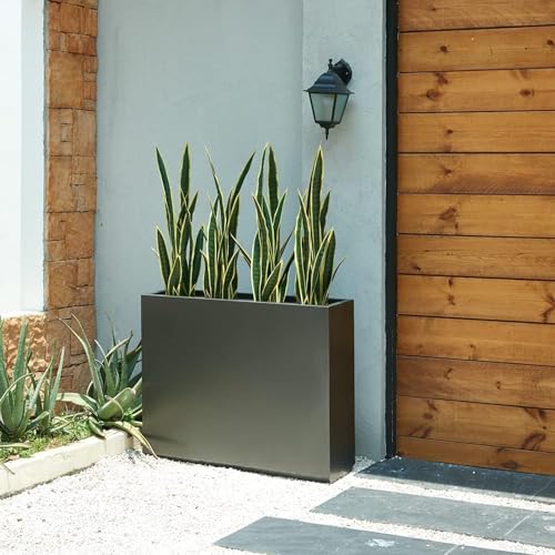 Artificial Plants 6PCS 30“Tall Faux Snake Plant (Yellow Snake Plants)