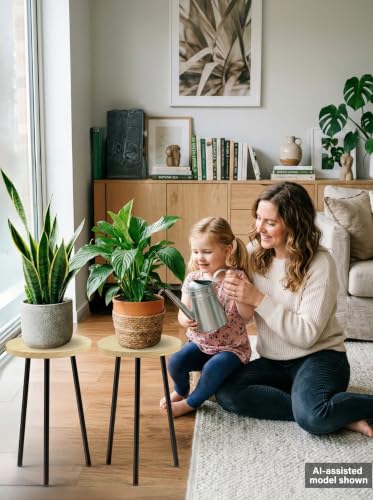 Plant Stand Indoor 2 Pack (Burlywood / 20"&20")