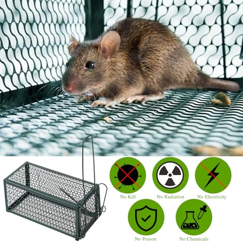 4 Pcs Rat Trap Live Animal Cage for Squirrel Chipmunk Mouse (Green)