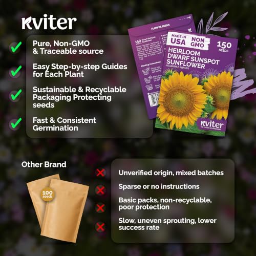 150 Dwarf Sunspot Sunflower Heirloom Flower Seeds
