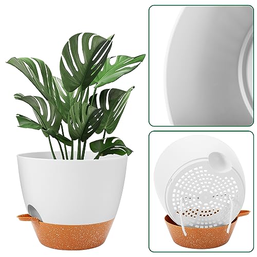 10 inch Plant Pots (2 Count)
