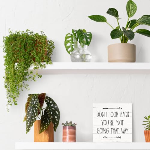 Inspirational Wood Signs (Inspirational11)