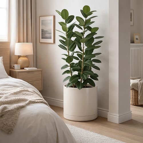16 Inch Ceramic Planter Pot (XXX-Large / Oatmeal)