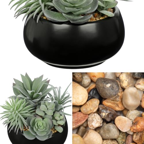 Artificial Succulents in Pots Fake Plants Faux Succulent Flowers Arrangement Potted Plant in Vase Black Ceramic Planter Bowl Office Desk Bathroom Shelf Indoor Outdoor Home Decor (Sage Green)