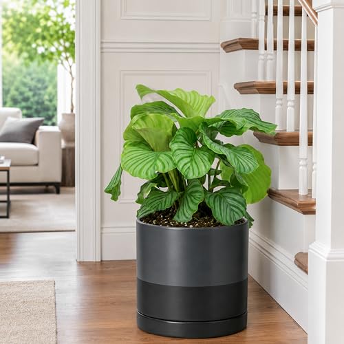 10 Inch Ceramic Planter Pot (Large / Slate)