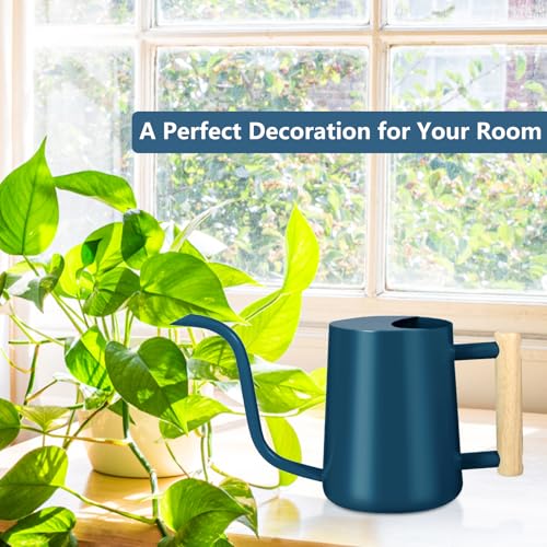 Watering Can Indoor Plants (Dark Blue)