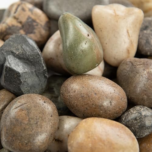 Mixed Polished Decorative Pebbles Landscape Accent Stone 40 lb (Mixed / 1.2 inch - 2 inch / BAG)