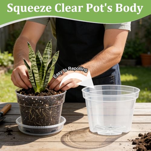 15 Pack 8/7/6 Inch Clear Nursery Pots with Saucer, Transparent Plastic Plant Pot with Drainage Hole, Sturdy Planting Starter Pots for Gardening Flower Herb Vegetable (Clear / Mix 6/7/8 Inch 15 Pack)