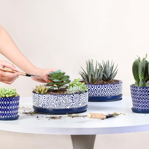 Ceramic Succulent Pots (Vintage Blue / 8 inch)