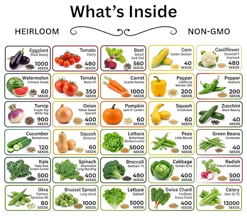 30 Variety Culinary Herb & Vegetable Seed Collection (30 Seed Packets: Beginner Friendly Varieties)