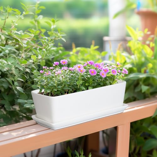 Rectangular Planter