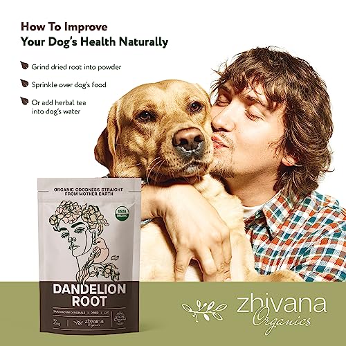 Organic Dandelion Root Tea Loose Leaf 16 oz (16 oz)