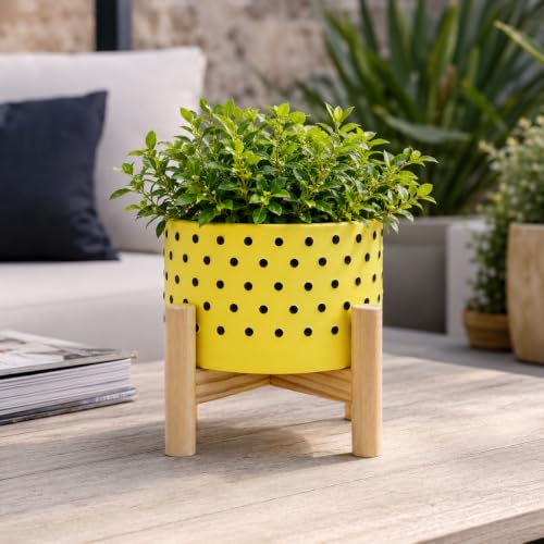 Ceramic Planter Pot with Wooden Stand