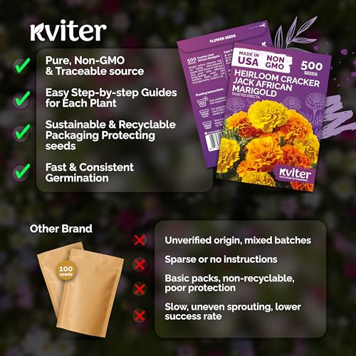 500 Cracker Jack Marigold Heirloom Flower Seeds
