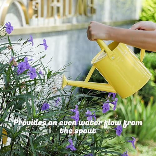 1 Gallon Watering Can for Plants (Cute Yellow)