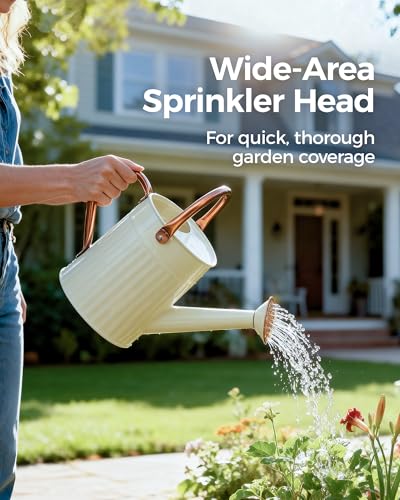 Metal Watering Can for Indoor Outdoor Plant 1