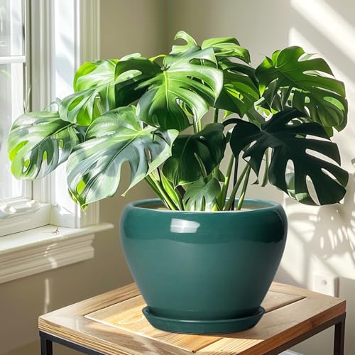 Ceramic Planter for Indoor Plants 10 Inch (10 Inch / Green)
