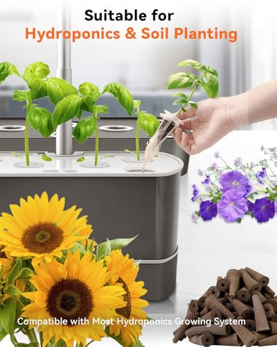 Herb Seed Pod Kit Compatible with AeroGarden Hydroponics Growing System (8-pods / Vibrant Flower)