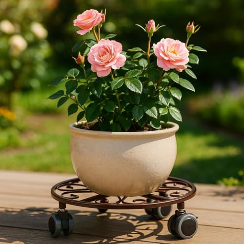 8 Pack Plant Caddy with Wheels & Saucers (Bronze)